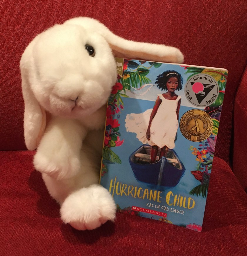 Marshmallow reviews Hurricane Child by Kacen Callender.