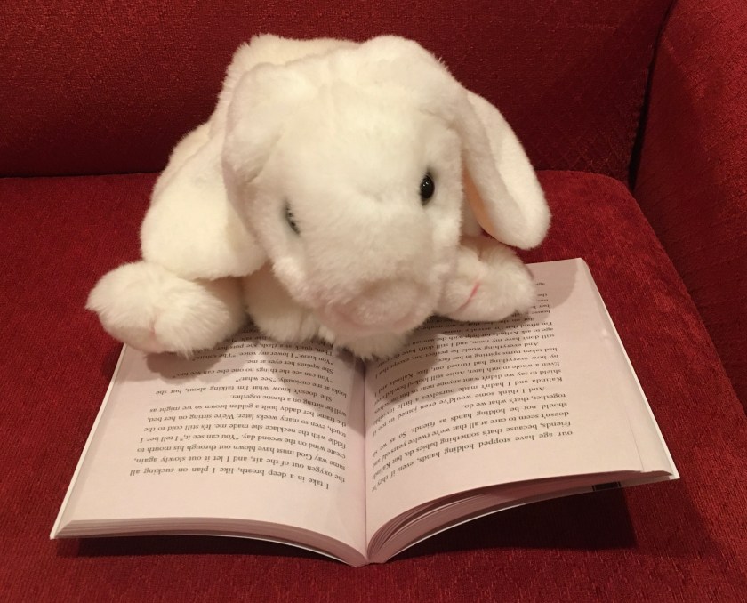 Marshmallow is reading Hurricane Child by Kacen Callender.