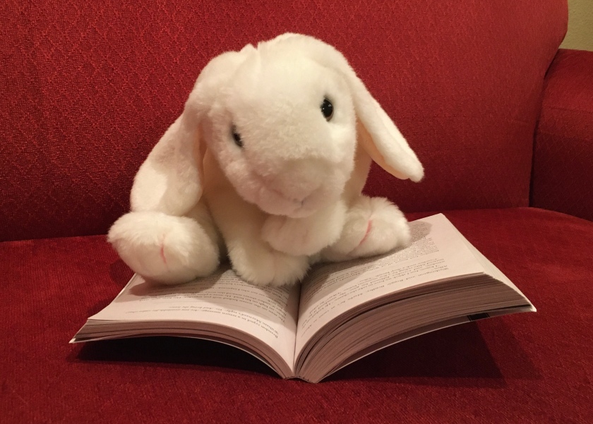 Marshmallow is reading The Parker Inheritance by Varian Johnson.