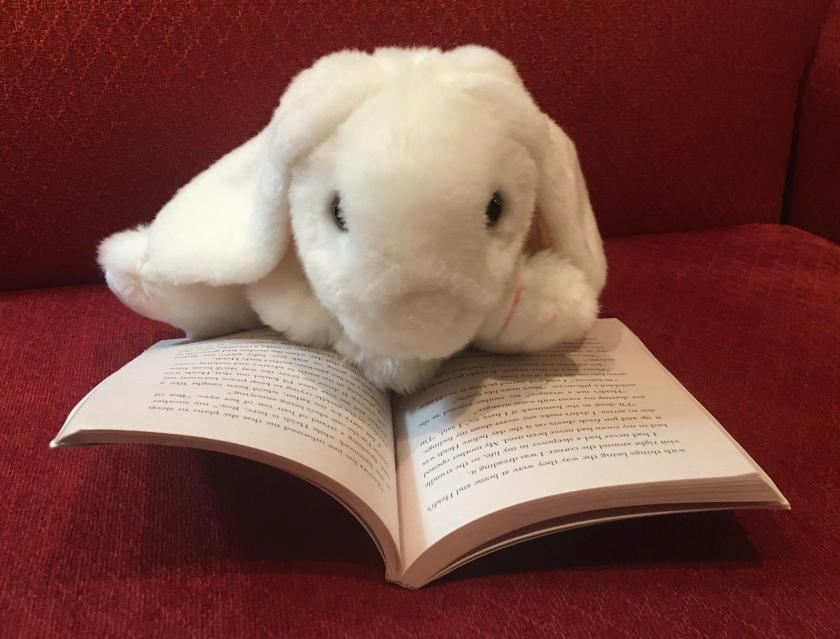 Marshmallow is reading Soof by Sarah Weeks. 