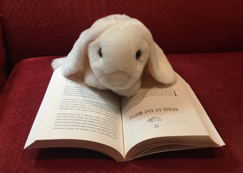 Marshmallow is reading Dear Student by Elly Swartz.