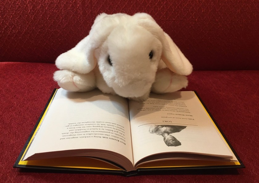 Marshmallow is reading Hotel Valhalla: Guide to the Norse Worlds by Rick Riordan.