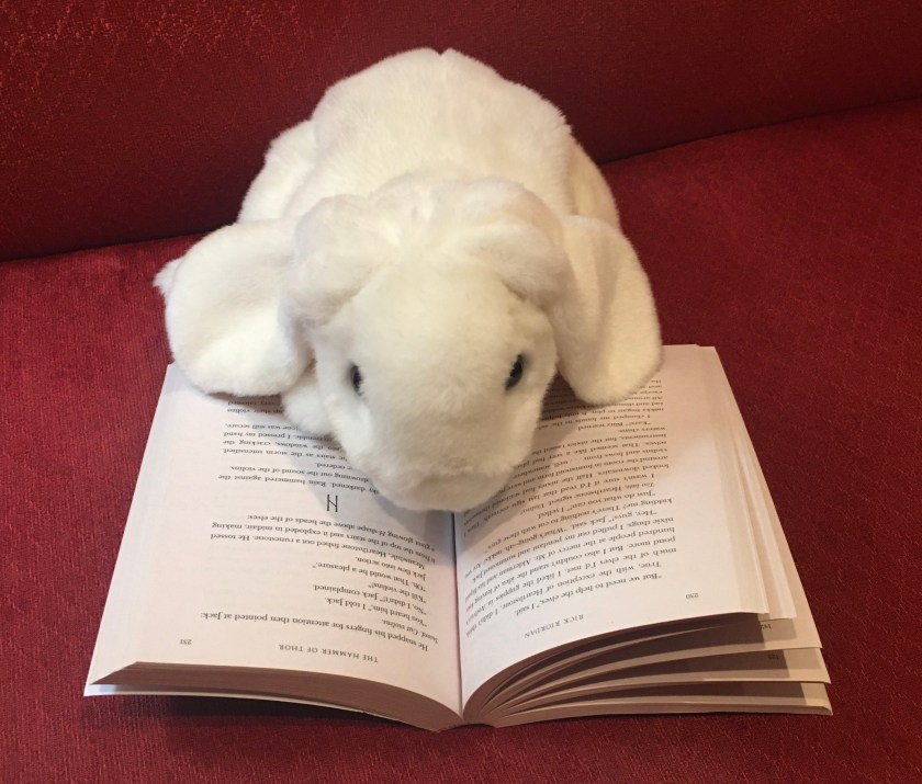 Marshmallow is reading The Hammer of Thor (Book 2 of Magnus Chase and the Gods of Asgard series) by Rick Riordan.