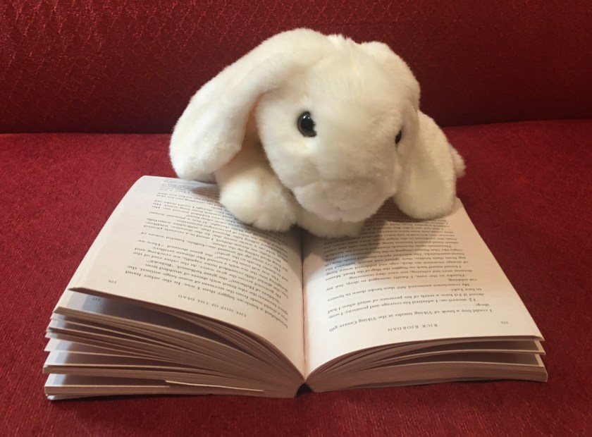 Marshmallow is reading The Ship of the Dead (Book 3 of Magnus Chase and the Gods of Asgard series) by Rick Riordan.