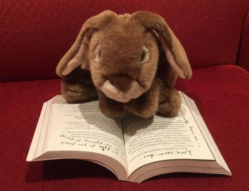 Caramel is reading How to Fight a Dragon's Fury (Book #12 of How to Train Your Dragon Series) by Cressida Cowell.