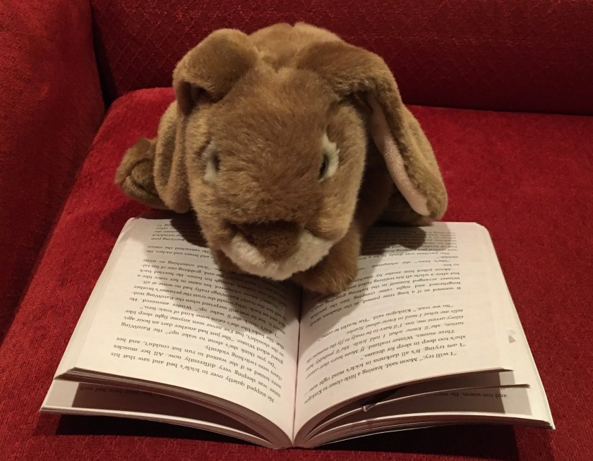Caramel is reading Winter Turning (Book Seven of Wings of Fire) by Tui Sutherland.