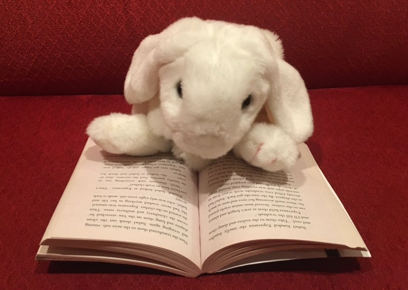 Marshmallow is reading Esperanza Rising by Pam Muñoz Ryan.