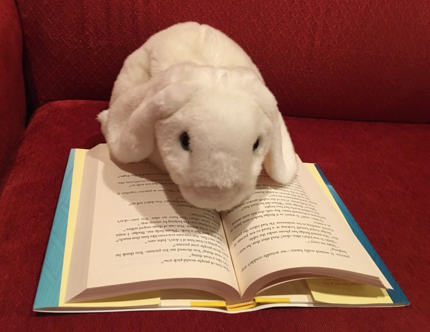 Marshmallow is reading Goodbye Stranger by Rebecca Stead.