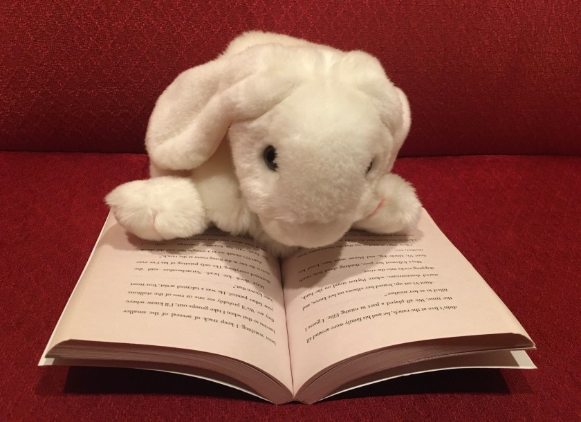 Marshmallow is reading Paint the Wind by Pam Muñoz Ryan.
