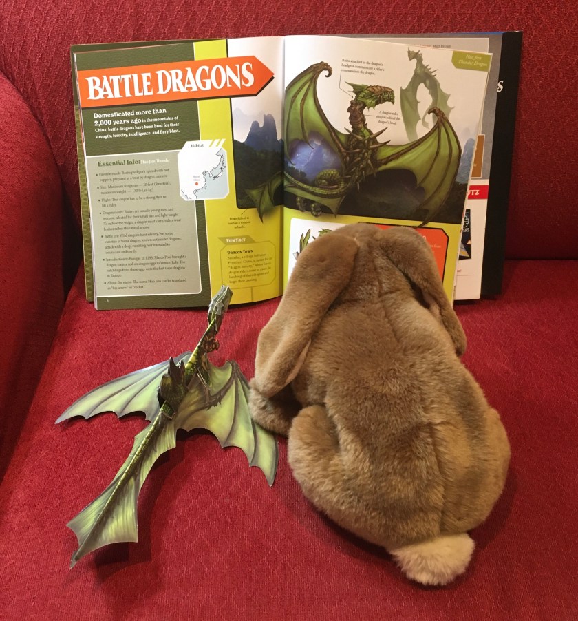 Caramel and his new friend Battle Dragon are reading about other battle dragons in Paper Flying Dragons by Pat Murphy.
