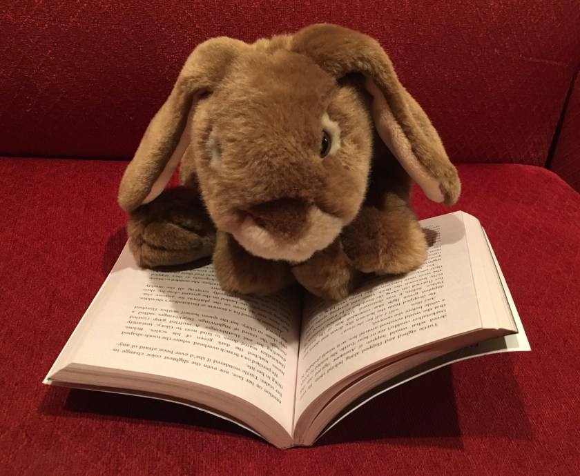 Caramel is reading Talons of Power (Book Nine of the Wings of Fire series) by Tui Sutherland.