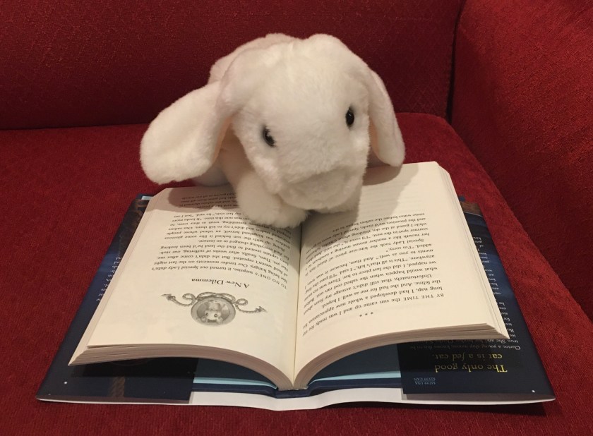 Marshmallow is reading Clarice the Brave by Lisa McMann.