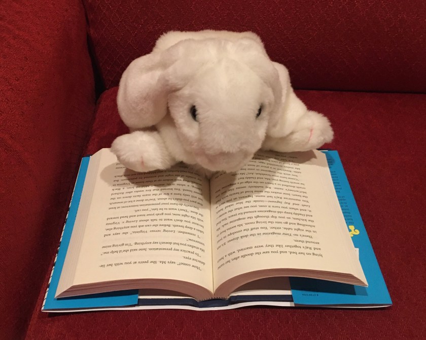 Marshmallow is reading How to Find What You're Not Looking For by Veera Hiranandani.