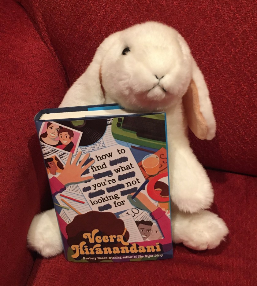 Marshmallow reviews How to Find What You're Not Looking For by Veera Hiranandani.