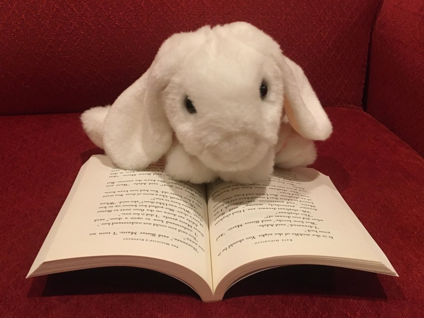 Marshmallow is reading The Magician's Elephant by Kate DiCamillo.