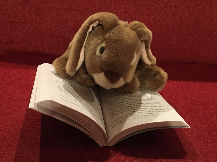 Caramel is reading The Dangerous Gift (Book Fourteen of the Wings of Fire series) by Tui Sutherland.