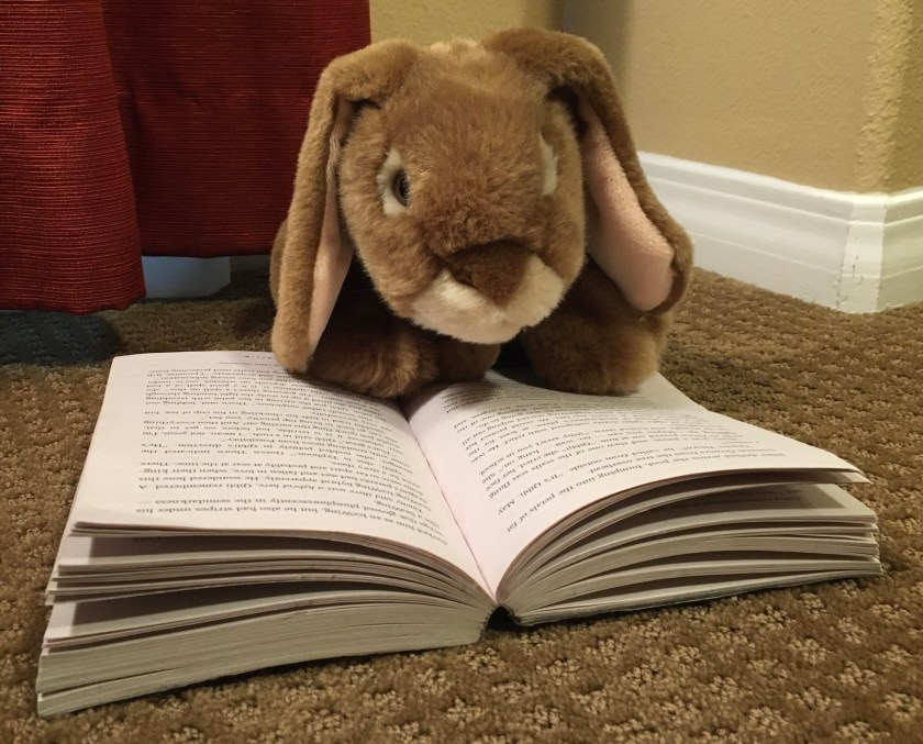 Caramel is reading Darkness of Dragons (Book Ten of the Wings of Fire series) by Tui Sutherland.