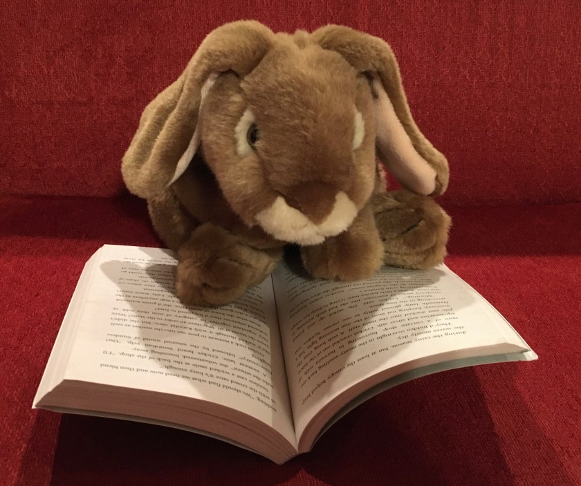 Caramel is reading The Hive Queen (Book Twelve of the Wings of Fire series) by Tui Sutherland.