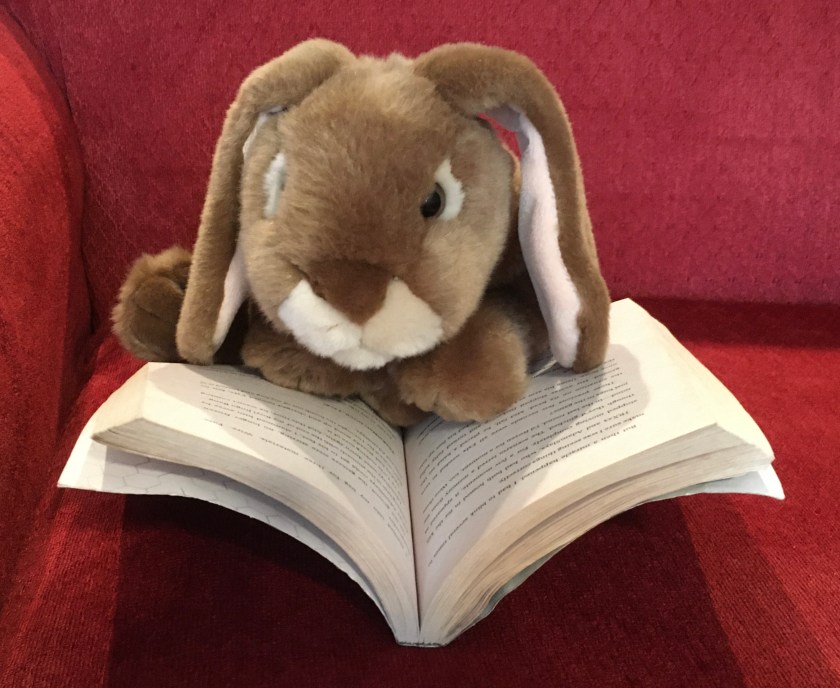 Caramel is reading Last Gamer Standing by Katie Zhao.