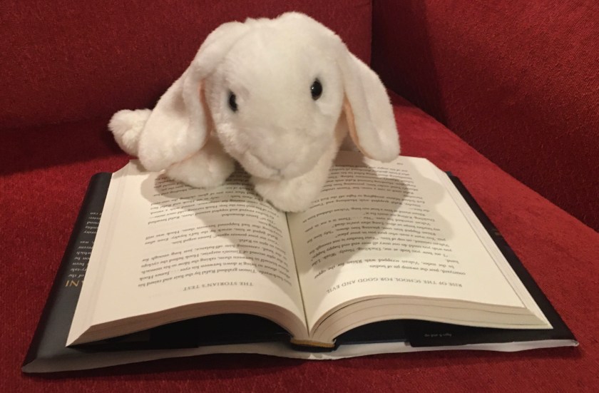 Marshmallow is reading Rise of the School for Good and Evil by Soman Chainani. 