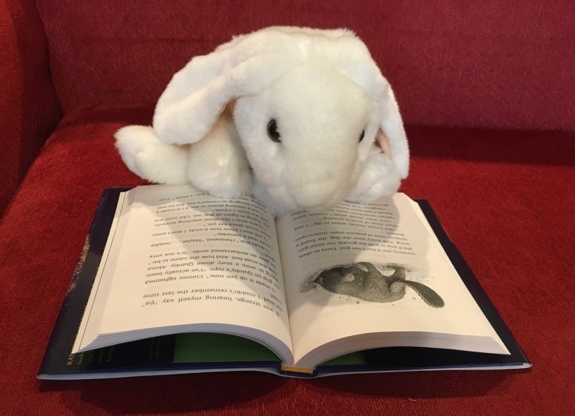 Marshmallow is reading Willodeen by Katherine Applegate.