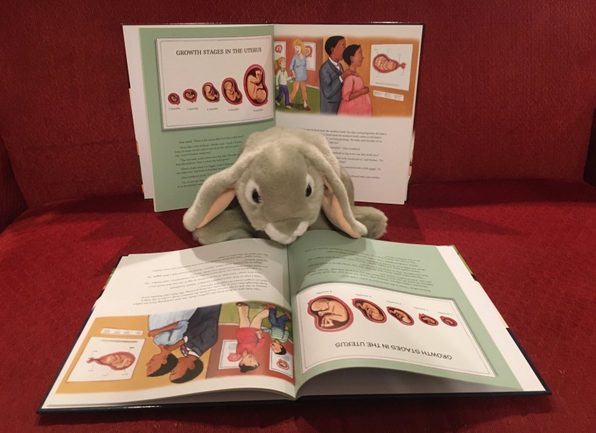 Sprinkles is reading Where Do Babies Come From: A Guide for the Christian Family, two separate books written for boys and girls aged 6-8. 