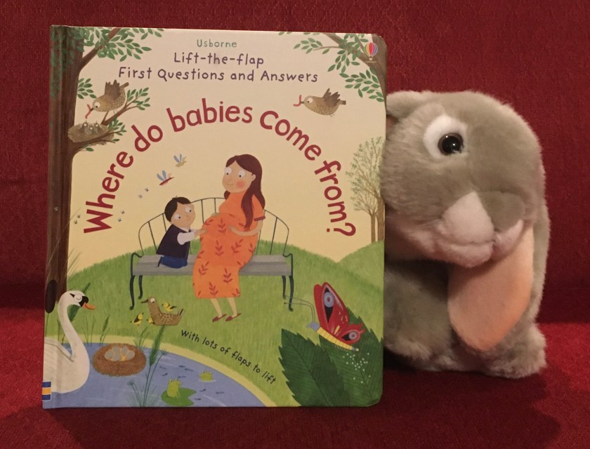Sprinkles reviews Where Do Babies Come From?, written by Katie Daynes, illustrated by Christine Pym, and designed by Suzie Harrison. 