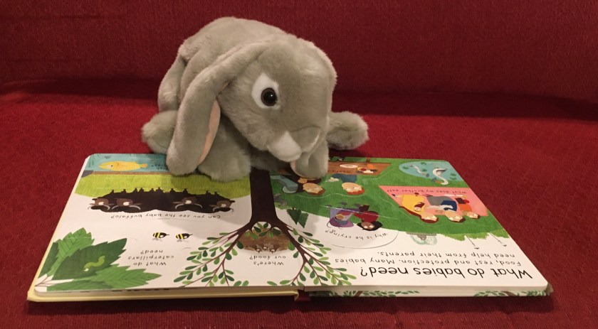 Sprinkles is reading Where Do Babies Come From?, written by Katie Daynes, illustrated by Christine Pym, and designed by Suzie Harrison. 