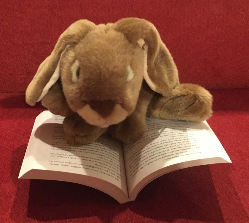 Caramel is reading The Menagerie by Tui Sutherland and Kari Sutherland.