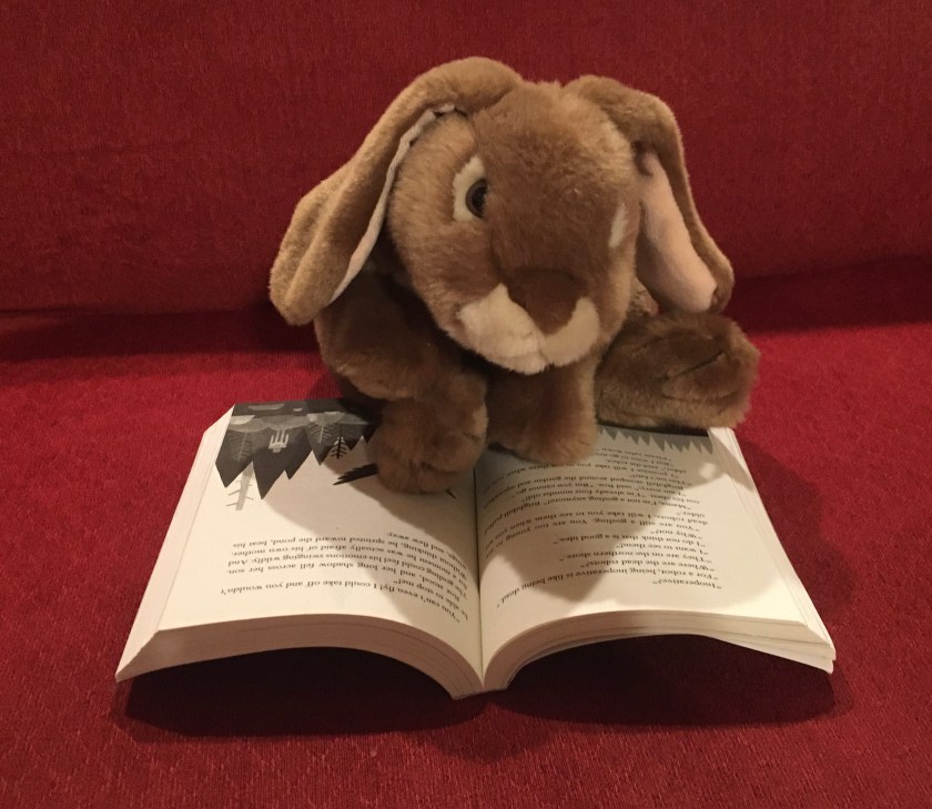 Caramel is reading The Wild Robot by Peter Brown.