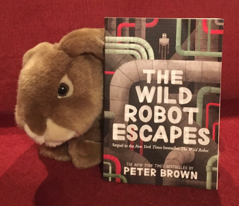 Caramel loved reading The Wild Robot Escapes by Peter Brown and hopes that maybe there will be more stories about Roz or other friendly robots.