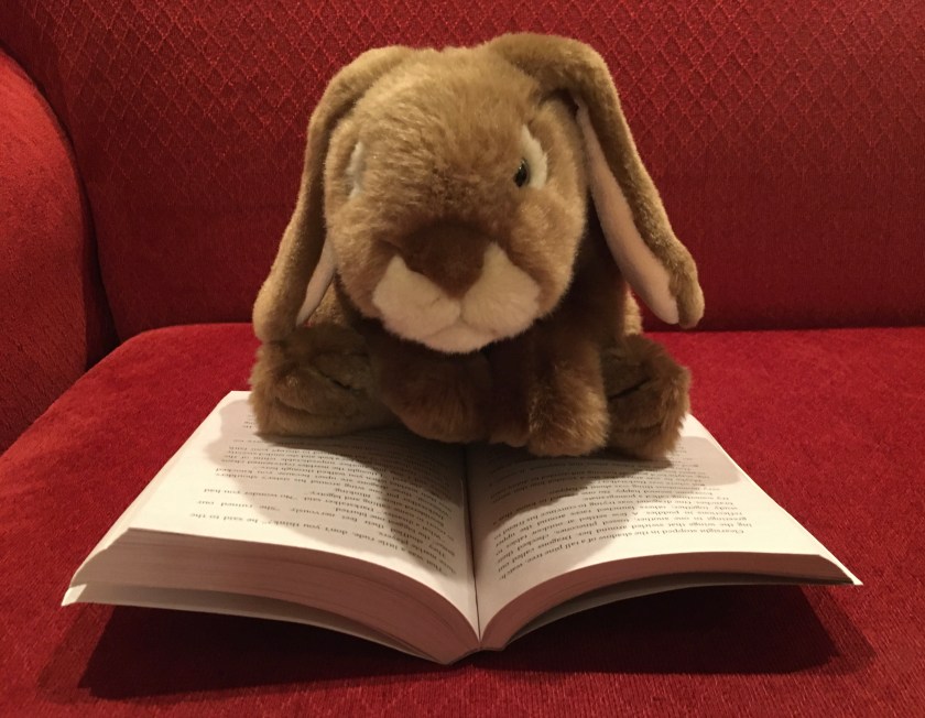 Caramel is reading Darkstalker by Tui Sutherland.