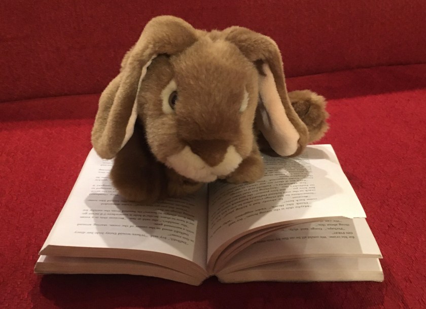 Caramel is reading Dragonslayer by Tui Sutherland.