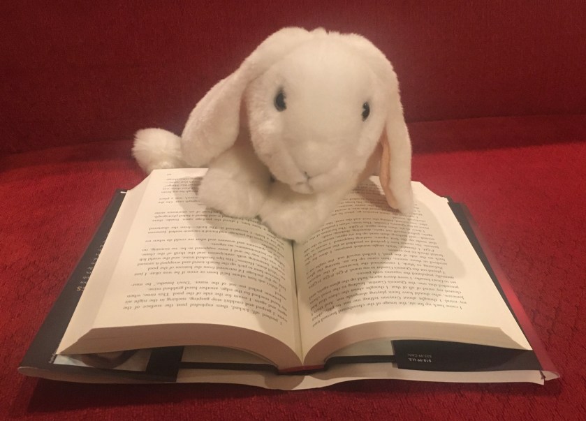 Marshmallow is reading The Final Gambit by Jennifer Lynn Barnes.