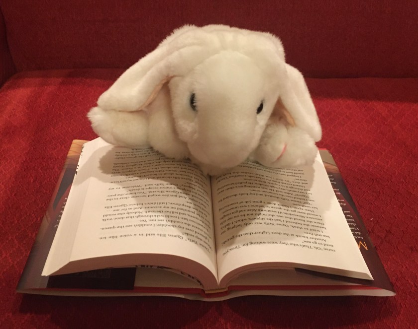 Marshmallow is reading Glass Slippers by Leah Cypess.