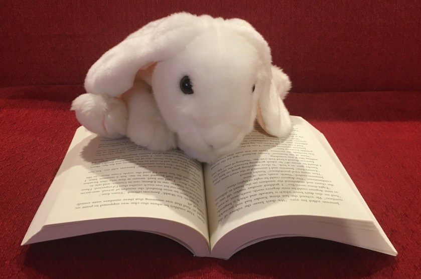 Marshmallow is reading The Hawthorne Legacy by Jennifer Lynn Barnes.