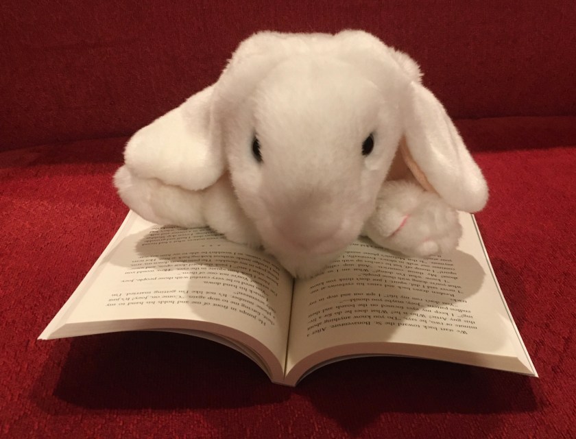 Marshmallow is reading The Prince of Steel Pier by Stacy Nockowitz.