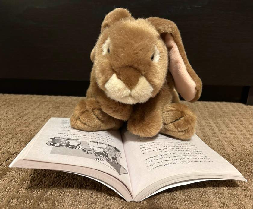 Caramel is reading Spy Penguins: Golden Egg, written by Sam Hay and illustrated by Marek Jagucki. 