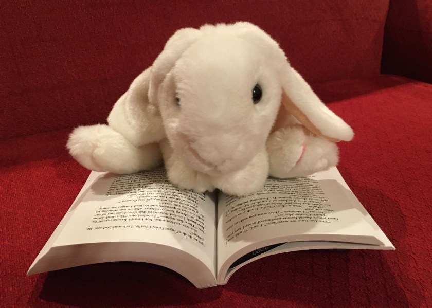 Marshmallow is reading Flowers for Algernon by Daniel Keyes. 