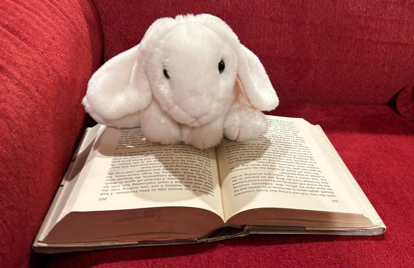 Marshmallow is reading Great Expectations by Charles Dickens.