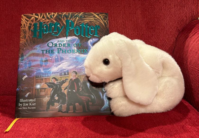 Marshmallow rates Harry Potter and the Order of the Phoenix, written by J.K. Rowling and illustrated by Jim Kay and Neil Packer, 100%.