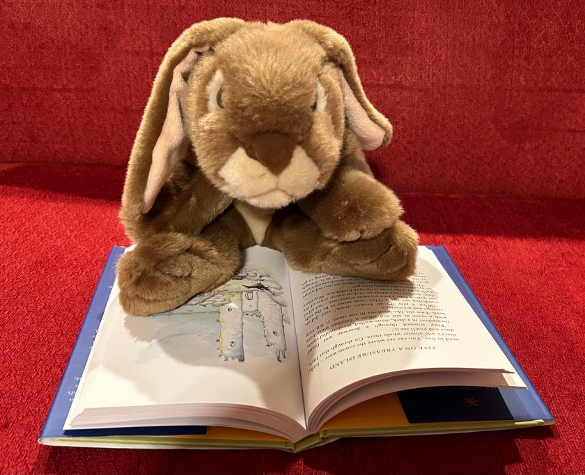 Caramel is reading Five on a Treasure Island, written by Enid Blyton and illustrated by Babette Cole and Quentin Blake. 