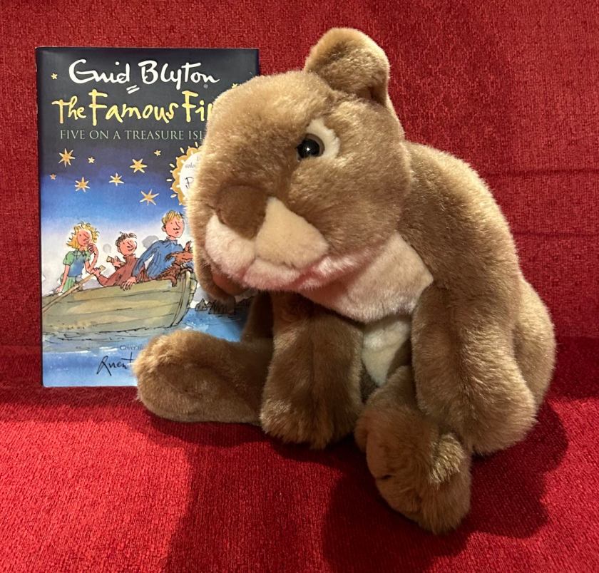 Caramel enjoyed reading Five on a Treasure Island, written by Enid Blyton and illustrated by Babette Cole and Quentin Blake, and is curious to learn more about the five friends and their other adventures. 