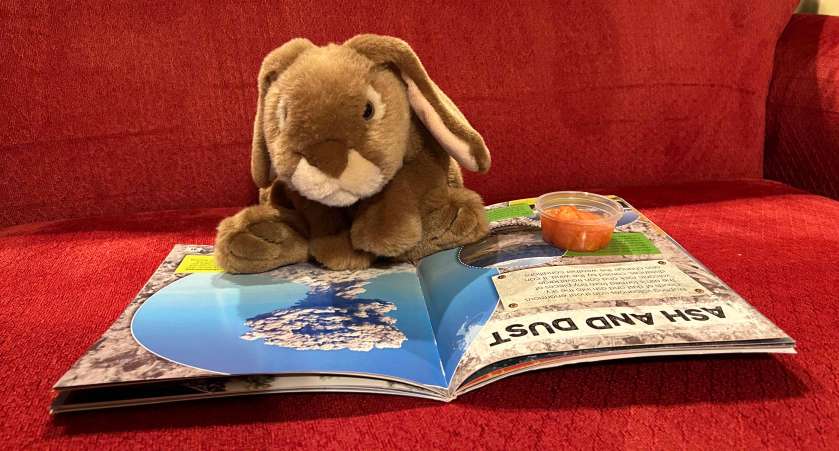 Caramel is reading Hot Lava! Fiery Facts About Volcanoes by Alice Fewery, accompanied by the metallic slime that came along with the book.