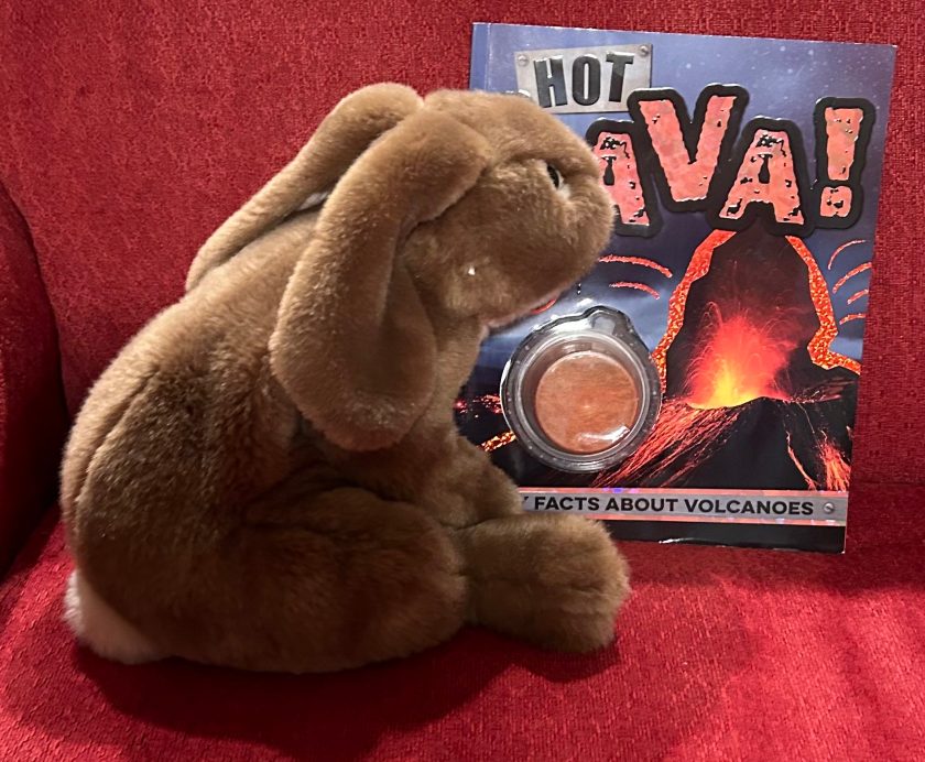 Caramel enjoyed reading Hot Lava! Fiery Facts About Volcanoes by Alice Fewery, and playing with the metallic slime that came along with the book, though it did get into his fur a little. 