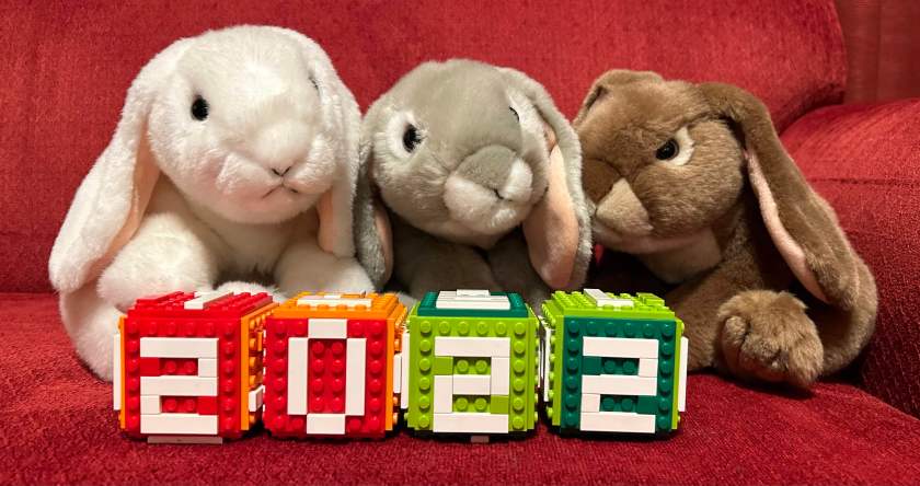 The book bunnies review the books of 2022.