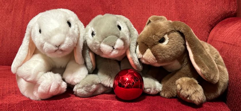 The book bunnies wish all bunnies around the world a happy new year and lots of good books in 2023!