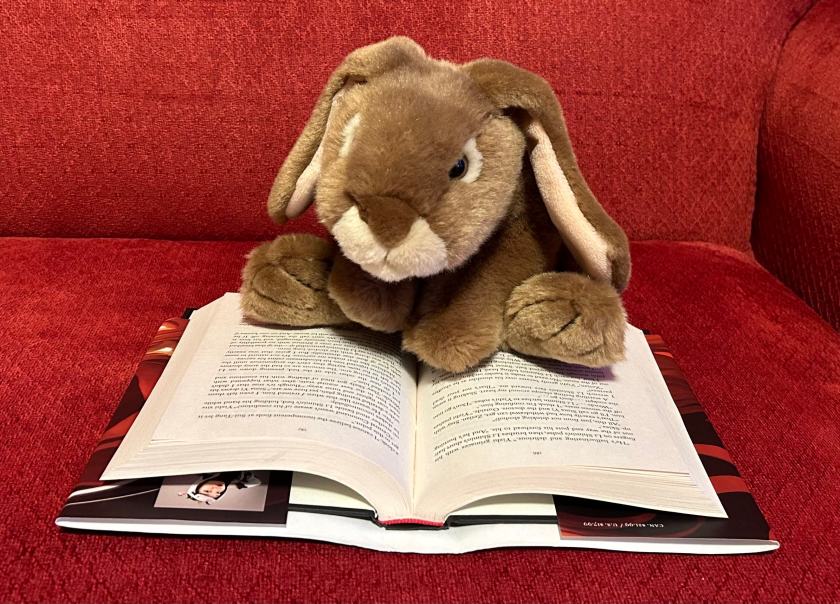 Caramel is reading Iron Widow by Xiran Jay Zhao.