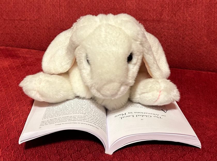 Marshmallow is reading Hope in the Dark: Untold Histories, Wild Possibilities by Rebecca Solnit. 