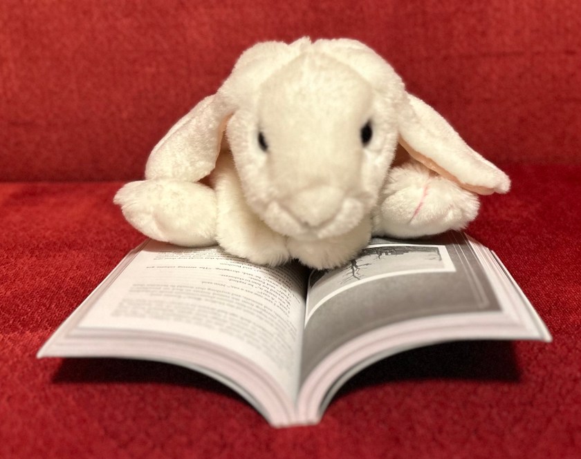 Marshmallow is reading Library of Souls: The Third Novel of Miss Peregrine’s Peculiar Children by Ransom Riggs.